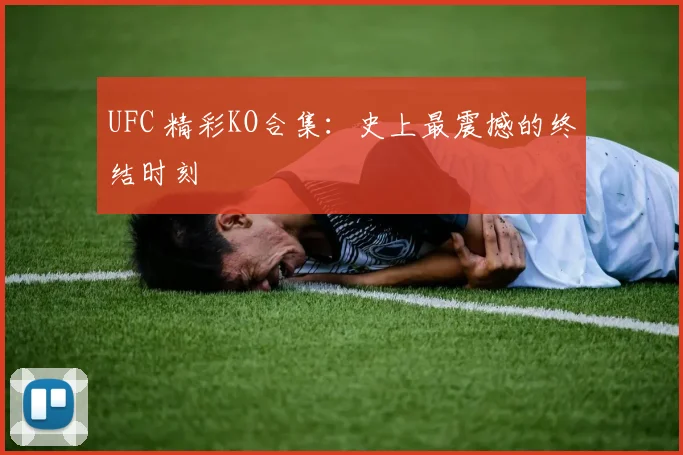 UFC 精彩KO合集：史上最震撼的终结时刻