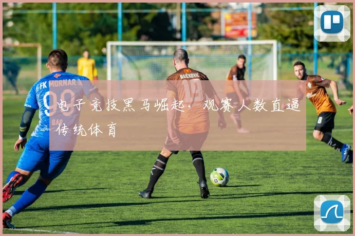 电子竞技黑马崛起,观赛人数直逼传统体育