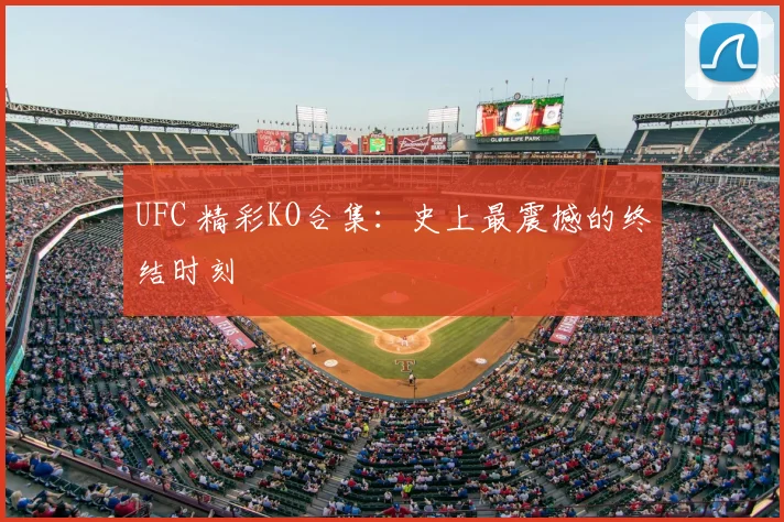 UFC 精彩KO合集：史上最震撼的终结时刻
