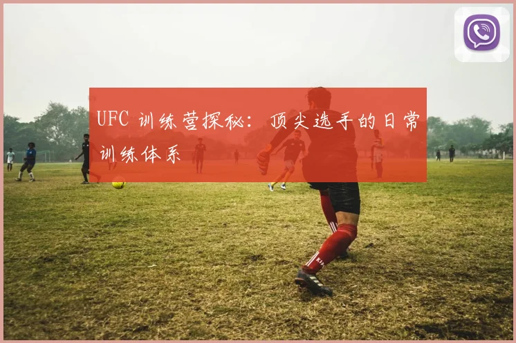 UFC 训练营探秘:顶尖选手的日常训练体系