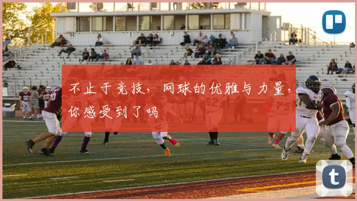 不止于竞技，网球的优雅与力量，你感受到了吗