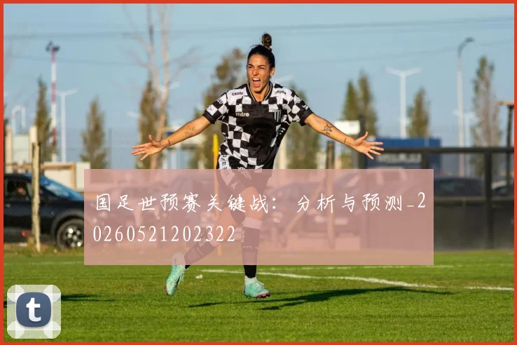 国足世预赛关键战：分析与预测_20260521202322