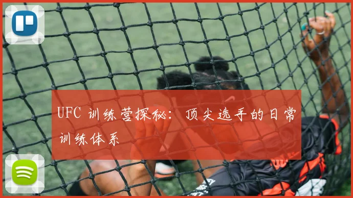 UFC 训练营探秘:顶尖选手的日常训练体系